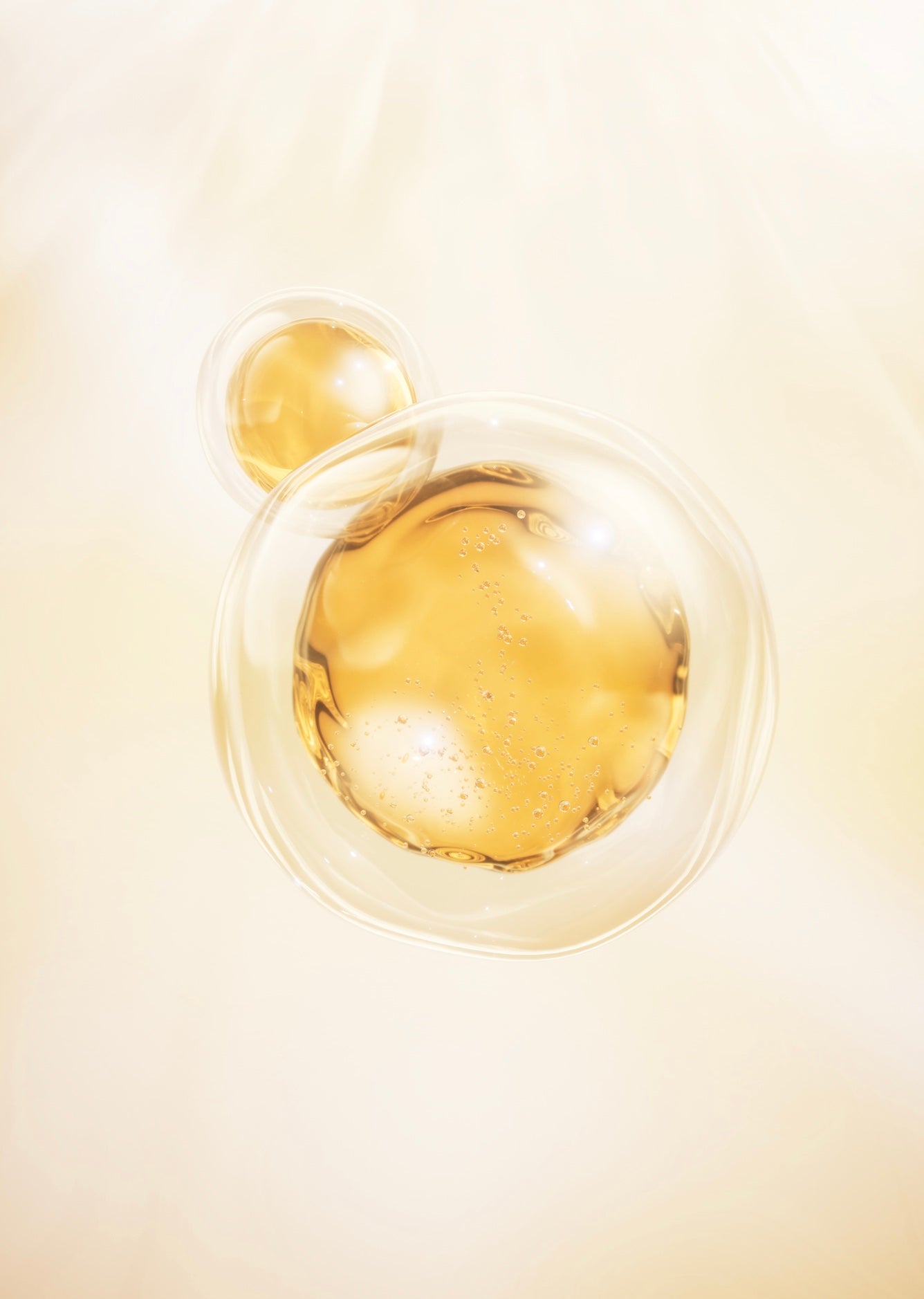 Ceramide Complex